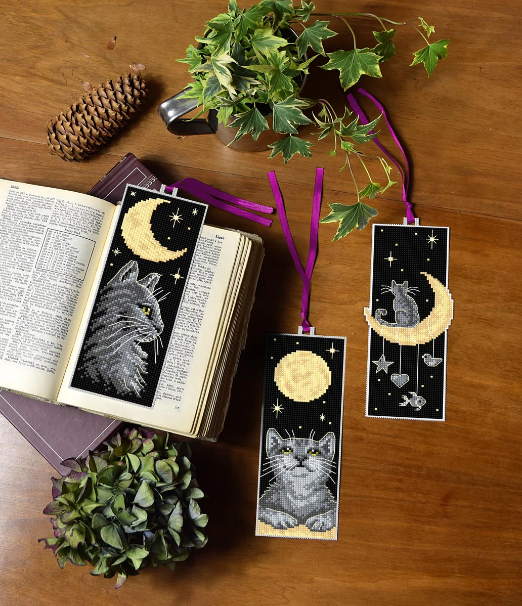 Something for Everyone: New Arrival from Orchidea (Poland)