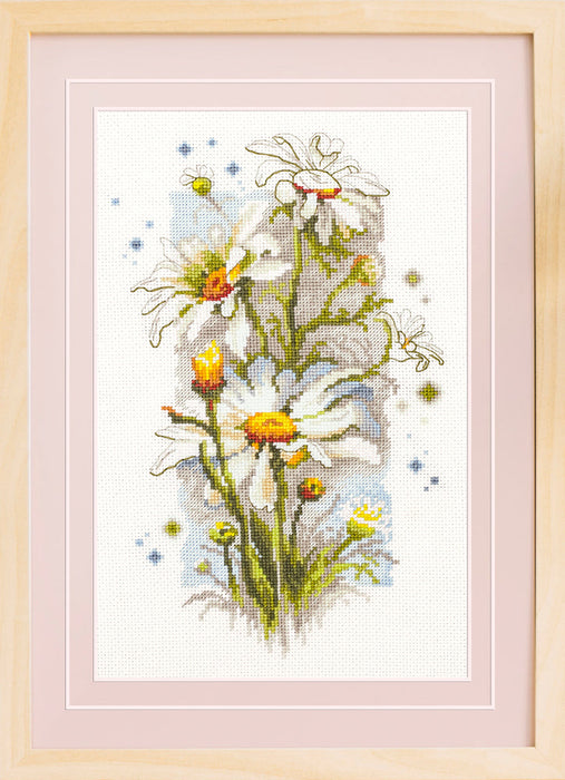 White Daisies 100-103 Counted Cross-Stitch Kit