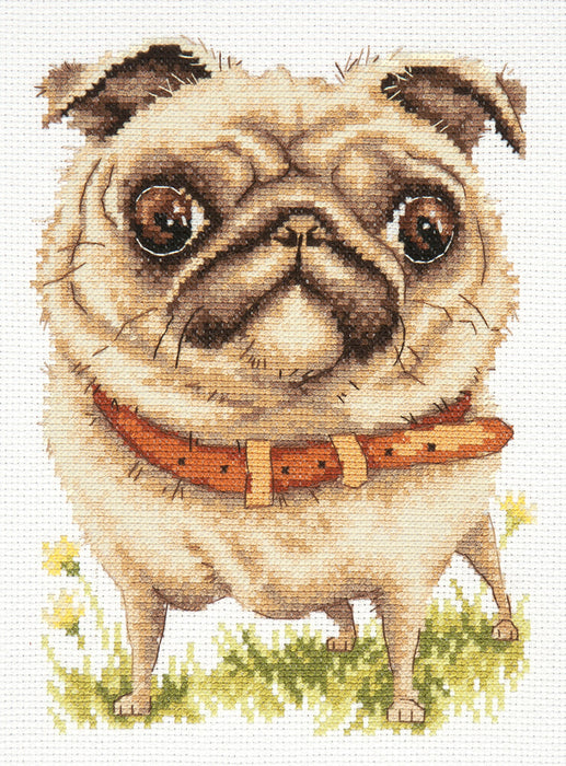 Pug-dog 16-17 Counted Cross-Stitch Kit