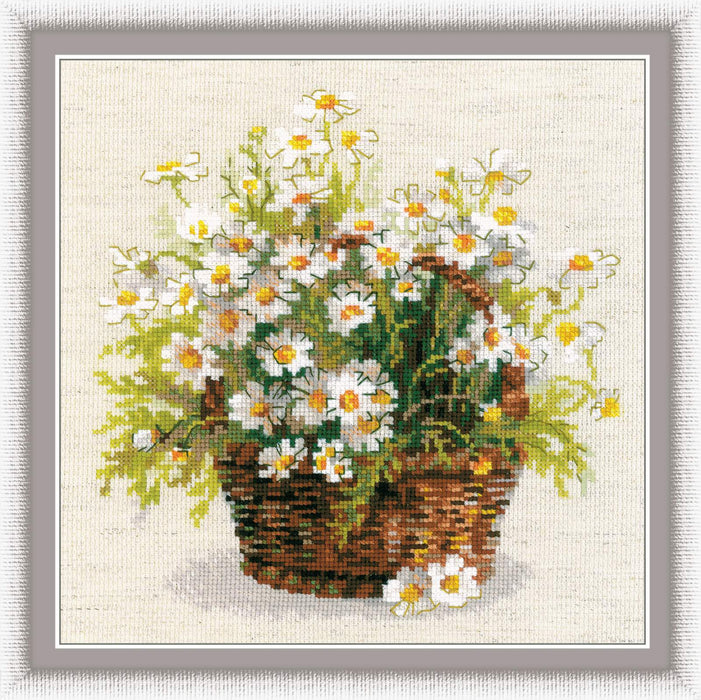 Russian Daisies R1478 Counted Cross Stitch Kit
