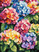 Painting by Numbers kit Multicolored hydrangeas KHO3299