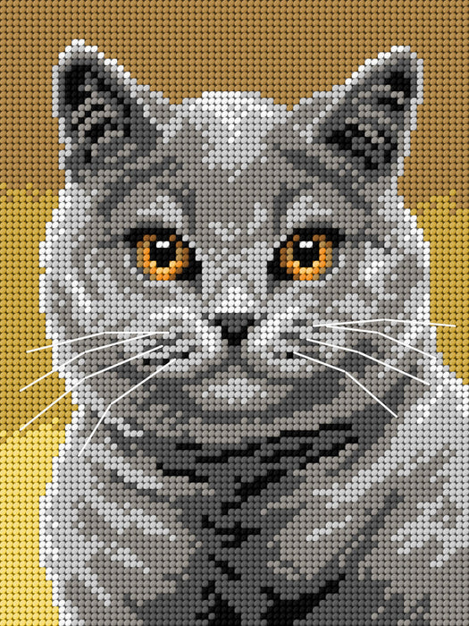 Needlepoint canvas for halfstitch without yarn British Shorthair 3356F