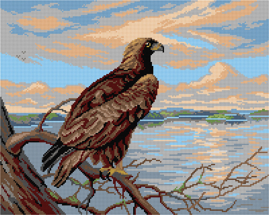 Gobelin canvas for halfstitch without yarn Eagle over the Lake 3612M