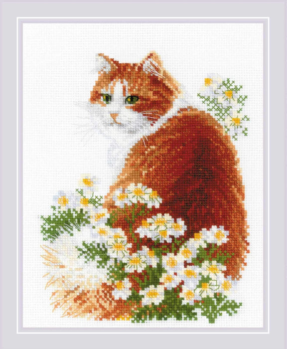 Ginger Meow R2110 Counted Cross Stitch Kit