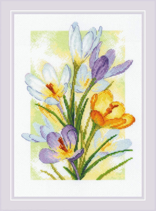 Spring Glow. Crocuses R2190 Counted Cross Stitch Kit