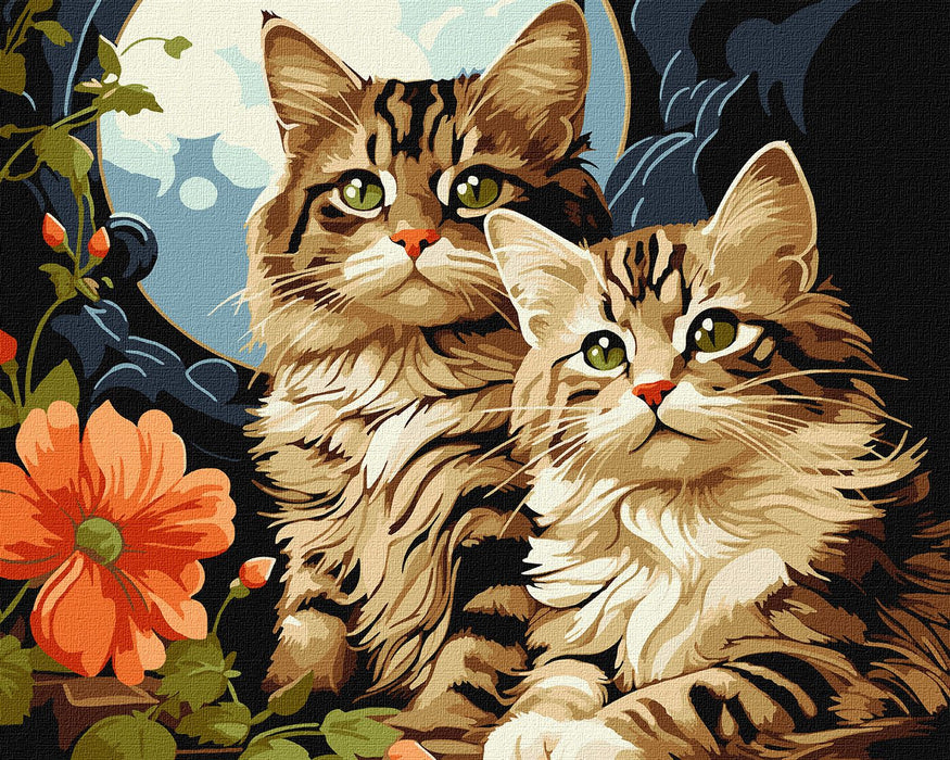 Painting by Numbers kit Adorable Cats KHO6574