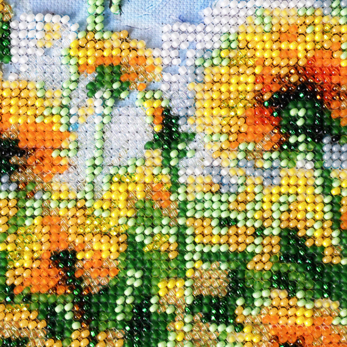 Main Bead Embroidery Kit - Dream AB-979