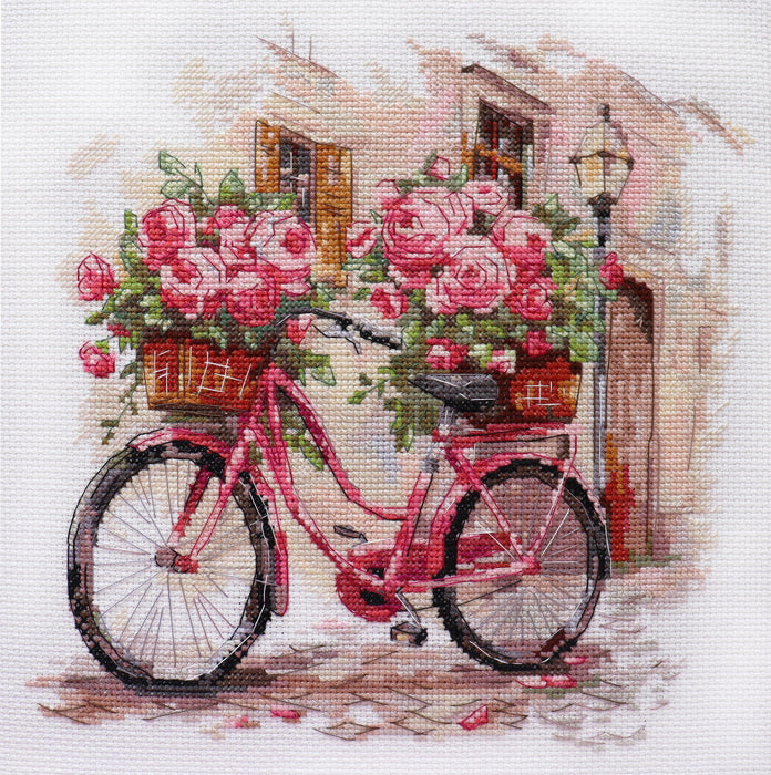 Cross-stitch kits - The long-awaited rendezvous