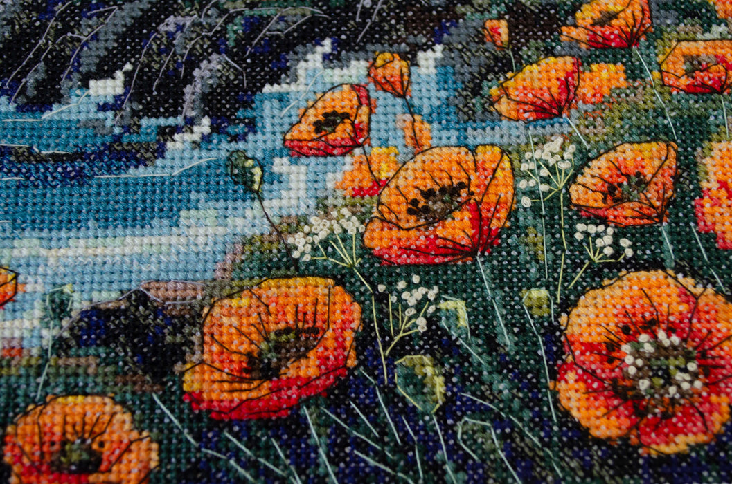 Counted Cross-stitch kit - Silence has color