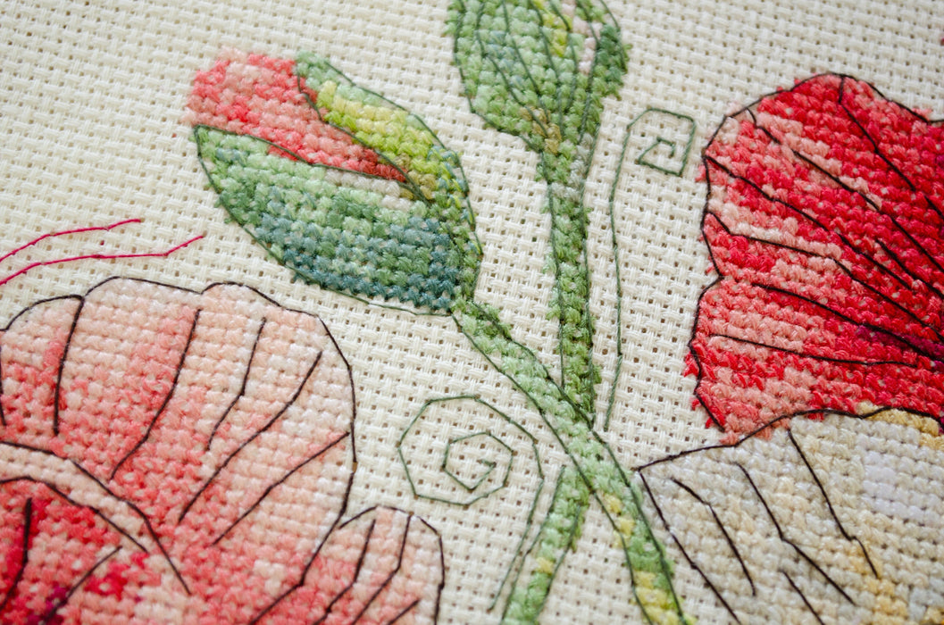 Counted Cross-stitch kit - When Poppies Bloom