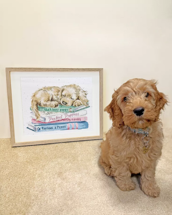 A Pup's Life XHD153 Counted Cross Stitch Kit