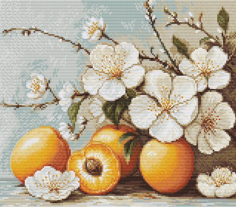 Apricot blossom B7062L Counted Cross-Stitch Kit
