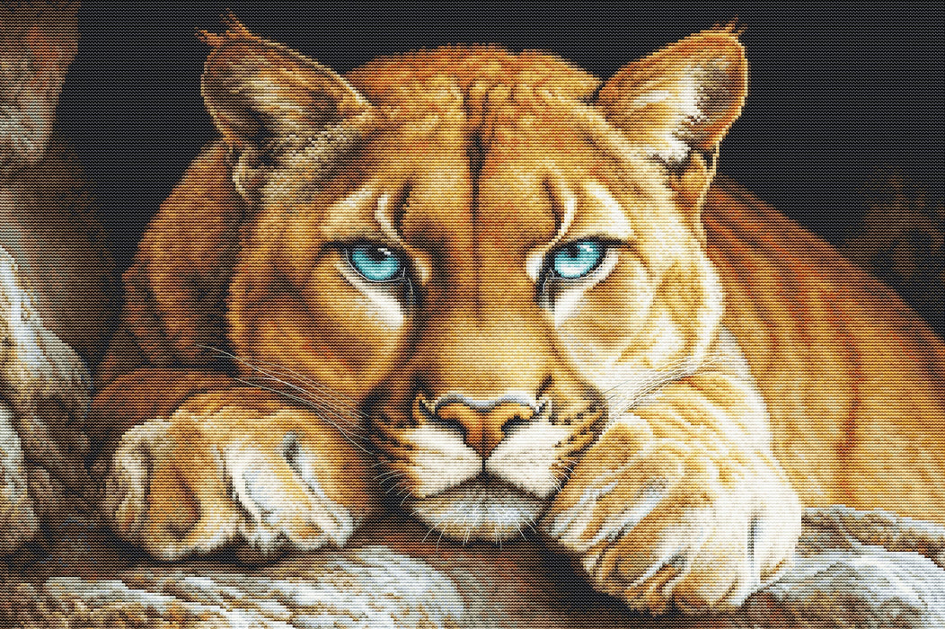 The Wild Spirit BU5081L Counted Cross-Stitch Kit