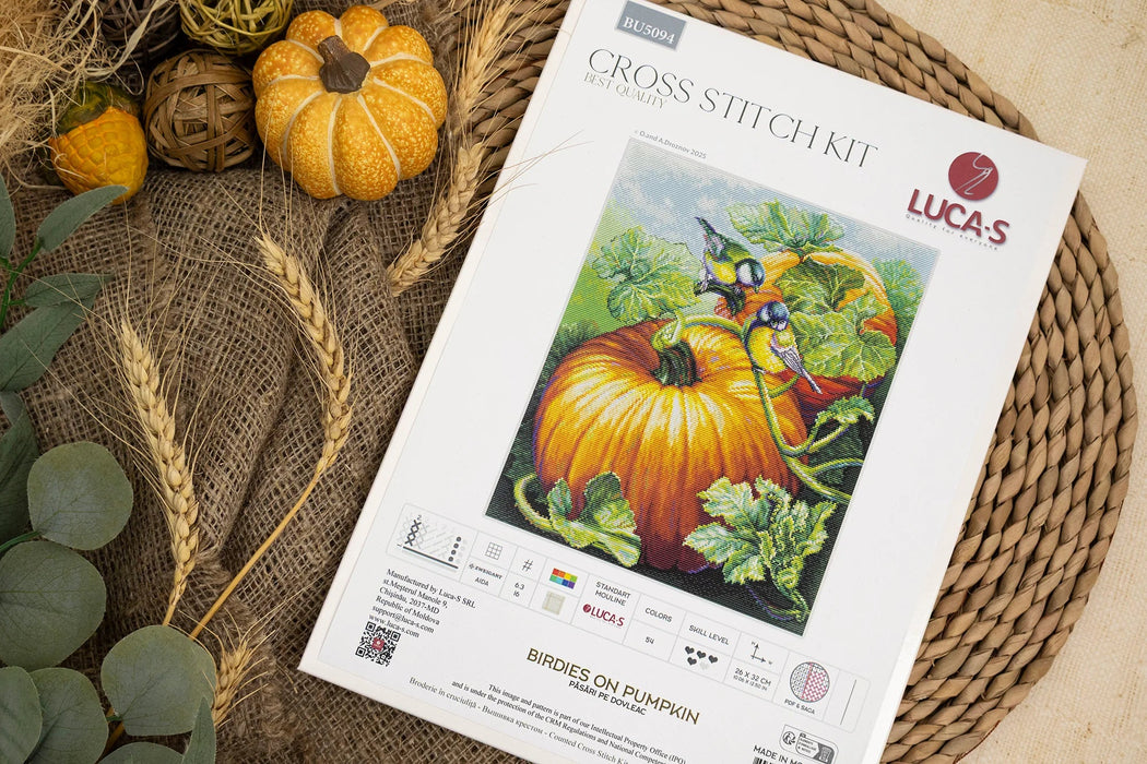 Birdies On Pumpkin BU5094L Counted Cross-Stitch Kit