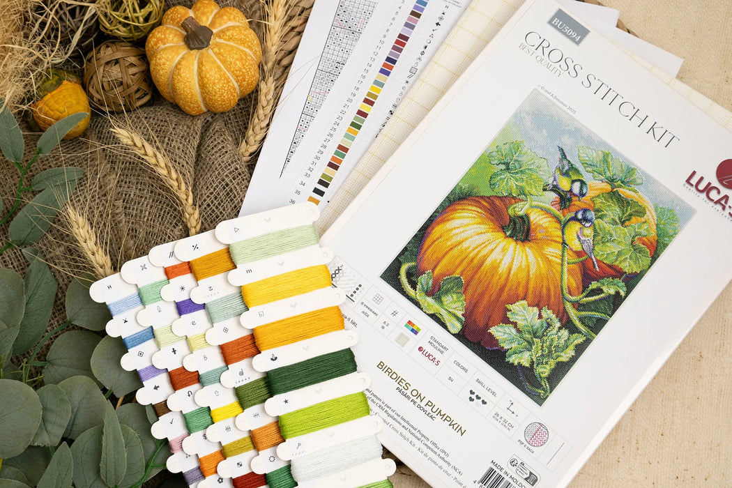 Birdies On Pumpkin BU5094L Counted Cross-Stitch Kit