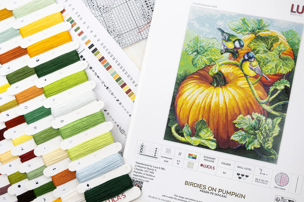 Birdies On Pumpkin BU5094L Counted Cross-Stitch Kit