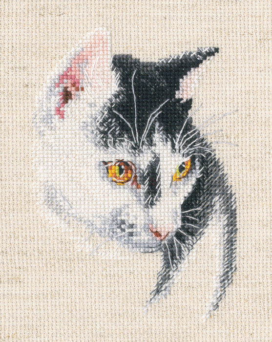 Fascinating C423 Counted Cross Stitch Kit