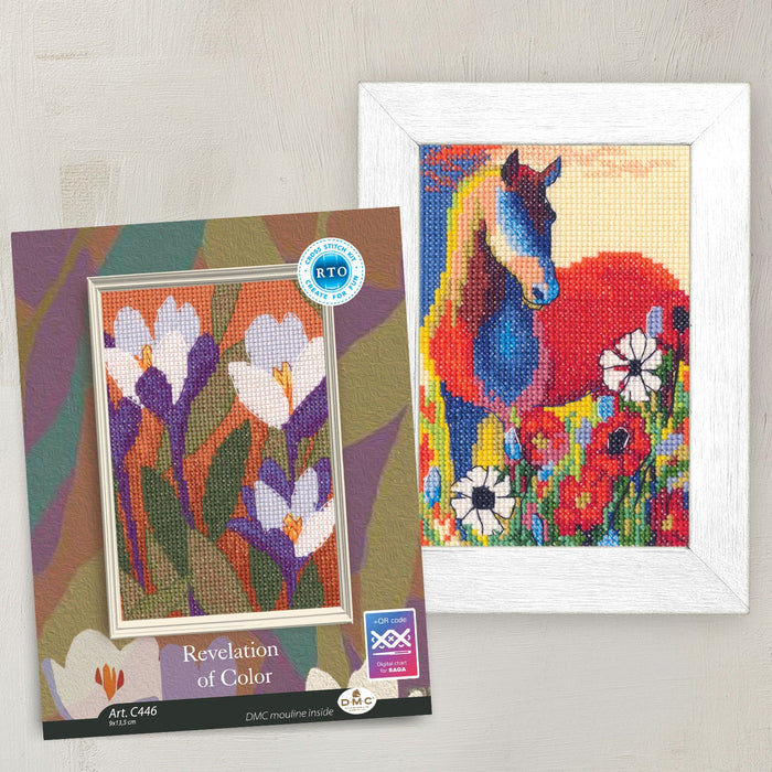 Revelation of Color C447 Counted Cross Stitch Kit