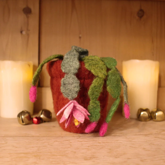 Felting Kit - Christmas Cactus Kit