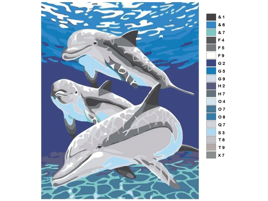 Dolphin Paint by Numbers Kit F07M1-6-Dolphin