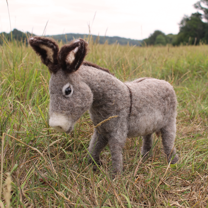 Felting Kit - Donkey Kit