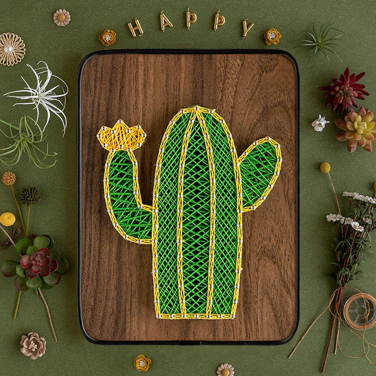 String Art DIY Kit - Cactus. Wizardi Craft Kit F07-M12-3-DH5012 — cshobby