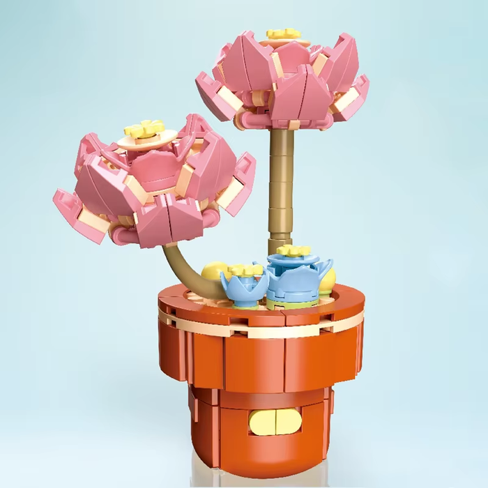 Plant Building Brick Kit - Echeveria by Wizardi F07N11-27-21(113)