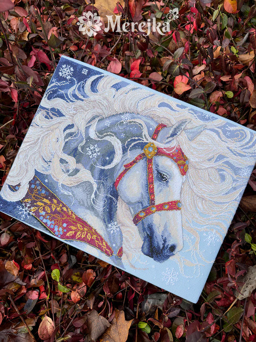 Blizzard K-290 Counted Cross-Stitch Kit