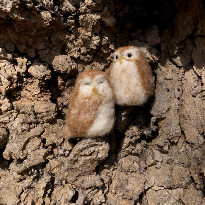 Felting Kit - Little Owl Needle Felt Kit