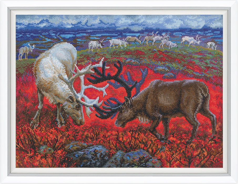 Law of the tundra M1014 Counted Cross Stitch Kit