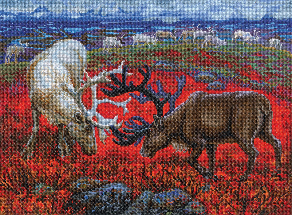 Law of the tundra M1014 Counted Cross Stitch Kit