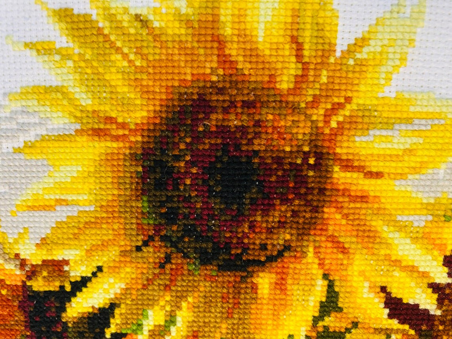 Hot Summer R1488 Counted Cross Stitch Kit