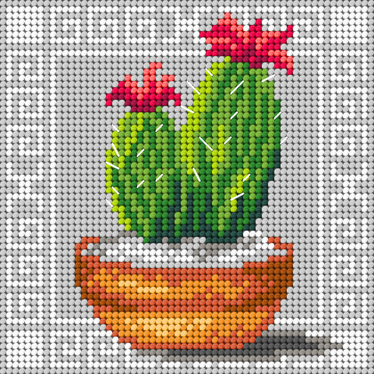 Orchidea - February 2025