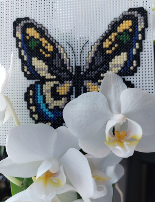 "Butterflies" 117CS Counted Cross-Stitch Kit