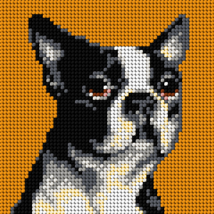Gobelin canvas for halfstitch without yarn Boston Terrier 2719D