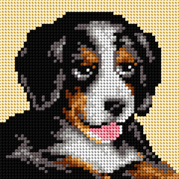 Gobelin canvas for halfstitch without yarn Bernese Mountain Dog 2721D