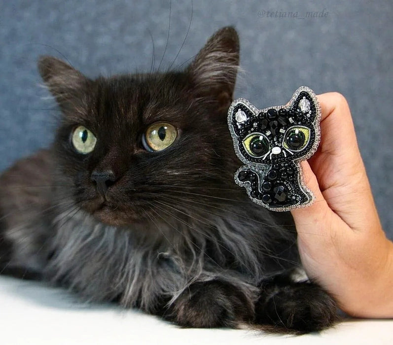 BP-330C Beadwork kit for creating brooch Crystal Art "Black cat"