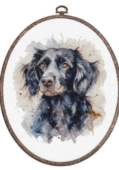 The Border Collie BC213L Counted Cross-Stitch Kit