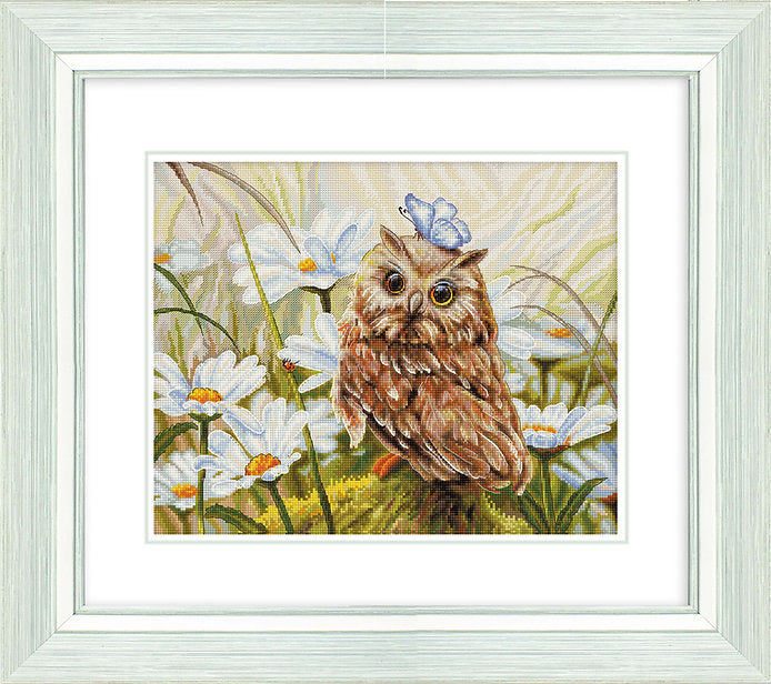 Lucky Owl B7011L Counted Cross-Stitch Kit