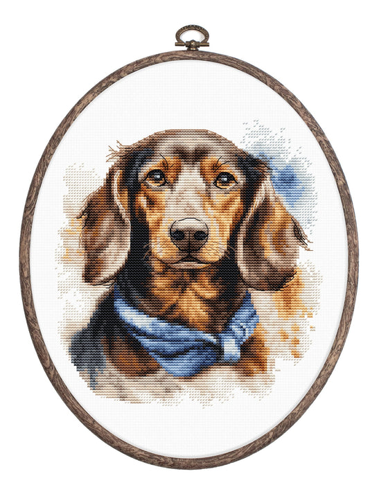 The Dachshund BC222L Counted Cross-Stitch Kit