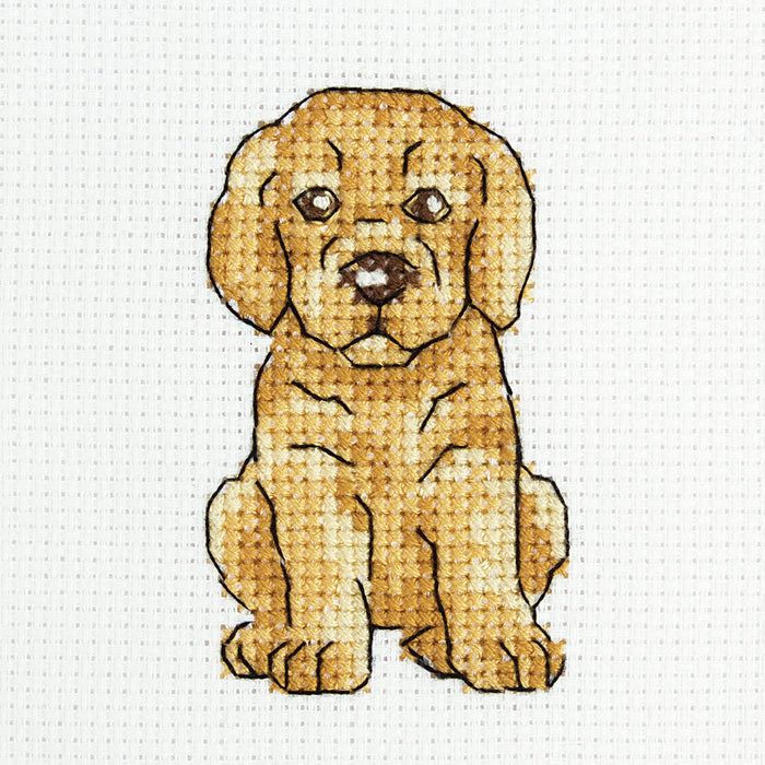 Clumsy Jackie H241 Counted Cross Stitch Kit
