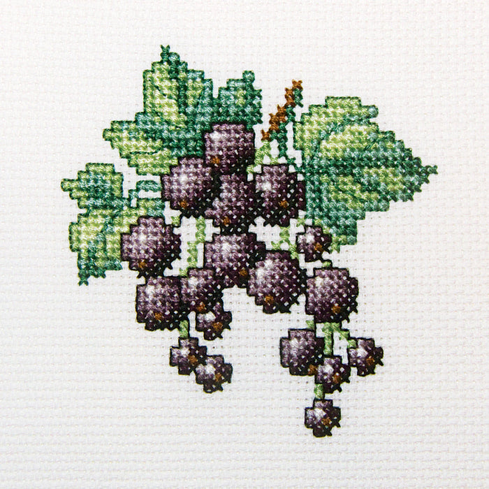 Blackcurrant H253 Counted Cross Stitch Kit
