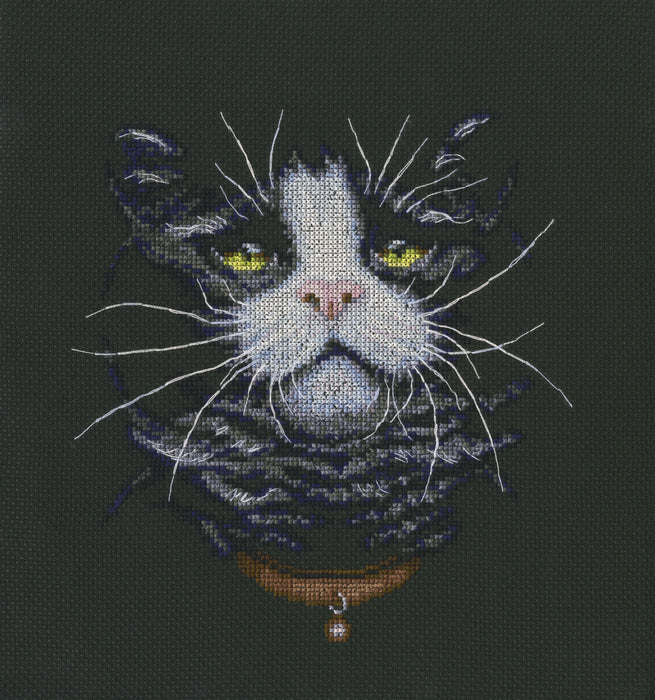 Cats' favourite M576 Counted Cross Stitch Kit