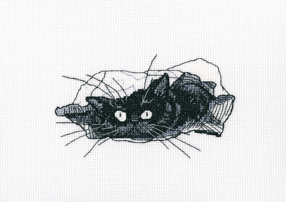 Among black cats M667 Counted Cross Stitch Kit