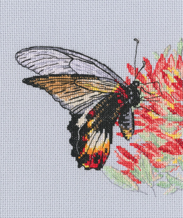 Nectar for butterfly M755 Counted Cross Stitch Kit