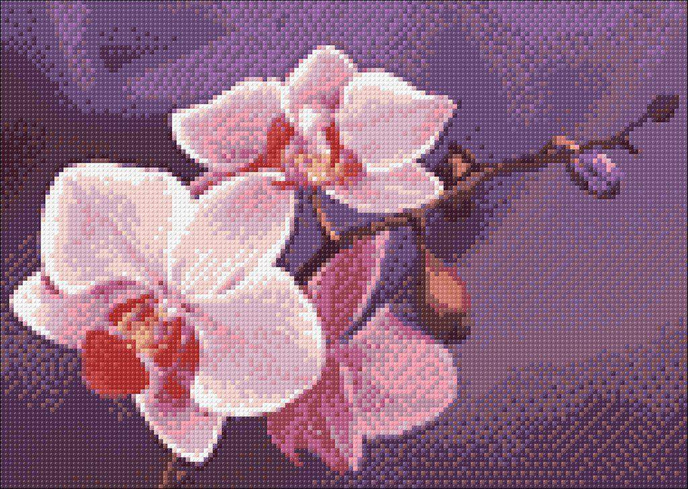 Branch of Orchids WD038 14.9 x 10.6 inches - Wizardi