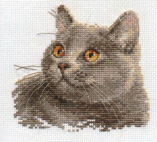 British Cat 0-134 Cross-stitch kit - Wizardi