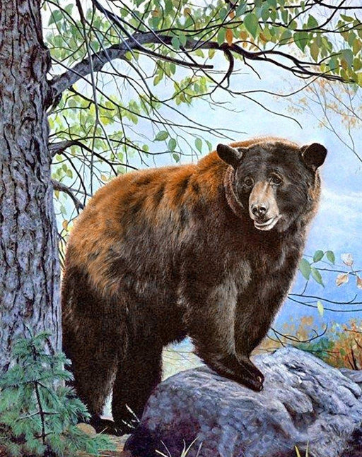 Brown Bear WD083 14.9 x 18.9 inches - Wizardi
