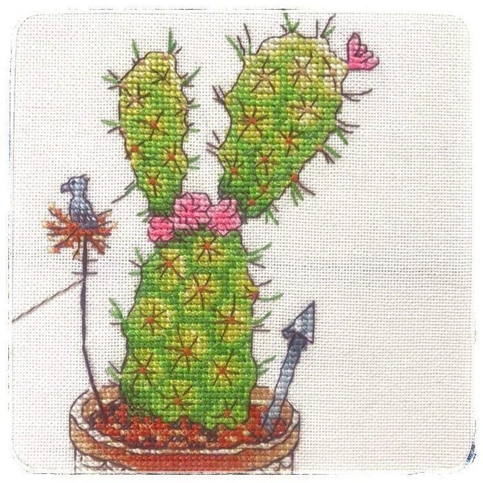 Cactuses TST-11 - Wizardi
