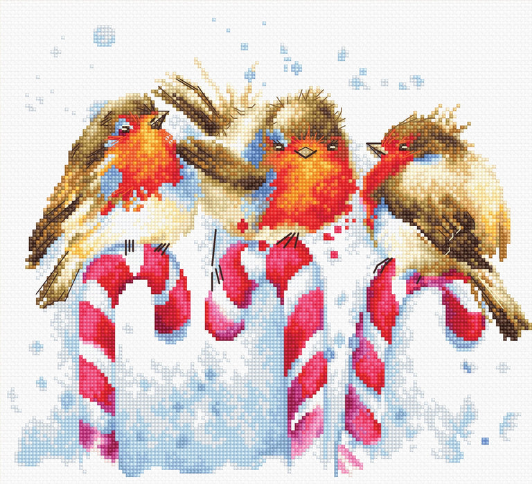 Christmas Birds  B1154L Counted Cross-Stitch Kit - Wizardi
